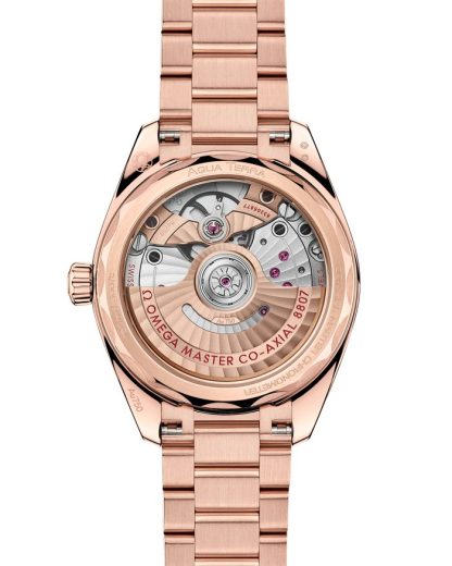 Omega Seamaster Aqua Terra 150M 34 mm, oro Sedna™ su oro Sedna™ 220.55.34.20.99.007 - immagine 2