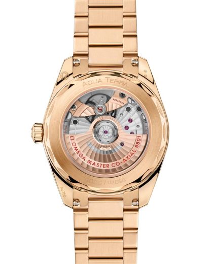 Omega Seamaster Aqua Terra 150M 38 mm, oro Moonshine™ su oro Moonshine™ 220.50.38.20.03.001 - immagine 2