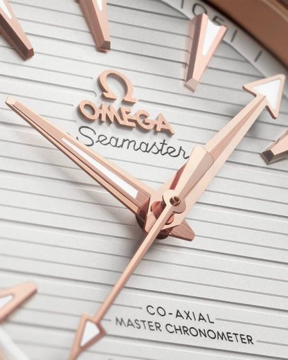 Omega Seamaster Aqua Terra 150M 41 mm, acciaio-oro Sedna™ su acciaio-oro Sedna™ 220.20.41.21.02.001 - immagine 3