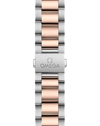 Omega Seamaster Aqua Terra 150M 41 mm, acciaio-oro Sedna™ su acciaio-oro Sedna™ 220.20.41.21.06.001 - immagine 3