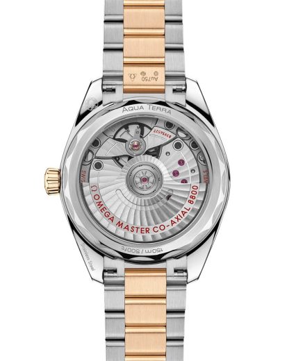 Omega Seamaster Aqua Terra Shades 34 mm, acciaio - oro Moonshine™ su acciaio-oro Moonshine™ 220.20.34.20.08.001 - immagine 2