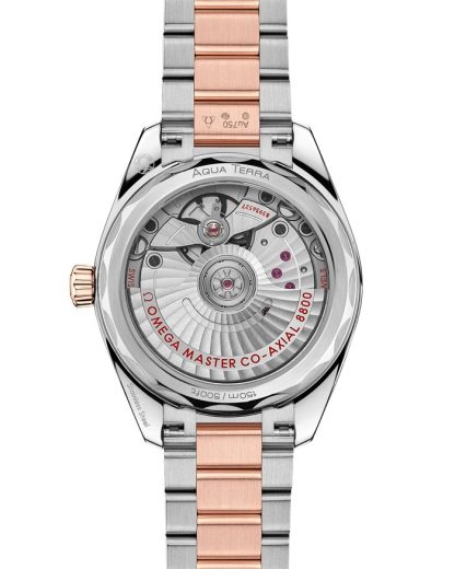 Omega Seamaster Aqua Terra Shades 34 mm, acciaio-oro Sedna™ su acciaio-oro Sedna™ 220.20.34.20.10.001 - immagine 2