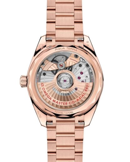 Omega Seamaster Aqua Terra Shades 34 mm, oro Sedna™ su oro Sedna™ 220.50.34.20.09.001 - immagine 2