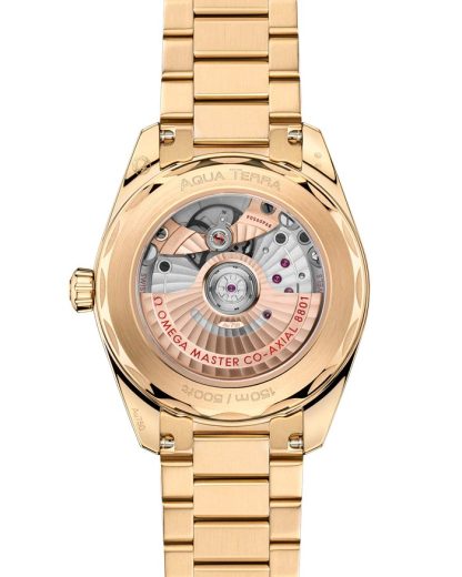 Omega Seamaster Aqua Terra Shades 38 mm, oro Moonshine™ su oro Moonshine™ 220.50.38.20.08.001 - immagine 2