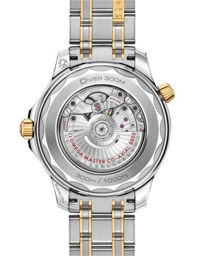 Omega Seamaster Diver 300M 42 mm, acciaio-oro giallo su acciaio-oro giallo 210.20.42.20.03.001 - immagine 2