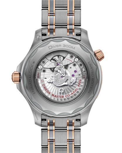 Omega Seamaster Diver 300M 42 mm, titanio - tantalio - oro Sedna™ su titanio - tantalio - oro Sedna™ 210.60.42.20.99.001 - immagine 2