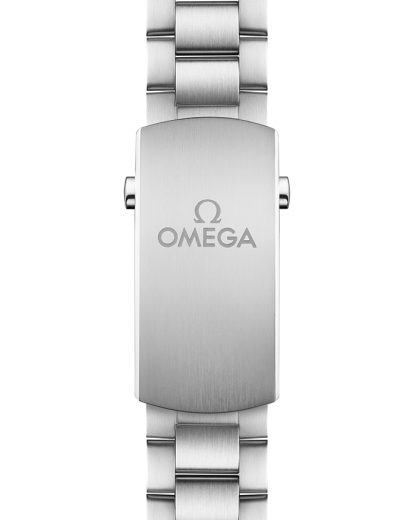 Omega Seamaster Planet Ocean 600M 43,5 mm, acciaio su acciaio 215.30.44.21.01.001 - immagine 3
