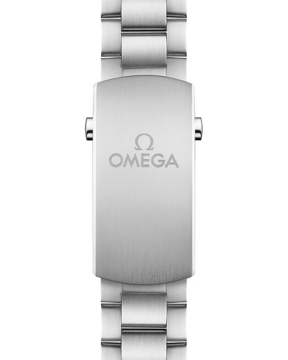 Omega Seamaster Planet Ocean 600M 43,5 mm, acciaio su acciaio 215.30.44.22.01.001 - immagine 2