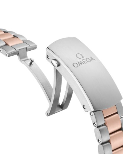Omega Seamaster Planet Ocean 600M 45,5 mm, acciaio-oro Sedna™ su acciaio-oro Sedna™ 215.20.46.51.03.001 - immagine 4